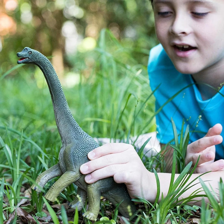 schleich 14581 Brachiosaurus, ab 5 Jahren, DINOSAURS - Spielfigur, 12 x 30 x 19 cm, grün Single, Sin