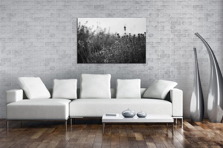 deyoli blühender Lavendel und Mohn Effekt: Schwarz&Weiss Format: 80x60 als Leinwandbild, Motiv ferti