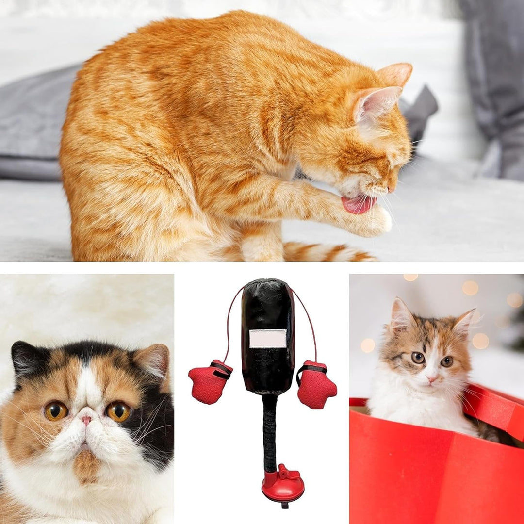 Boxsack mit Handschuhen Katzenspielzeug, EIN Katzen-Boxspielzeug - Boxsack für Katzen für Kätzchen |