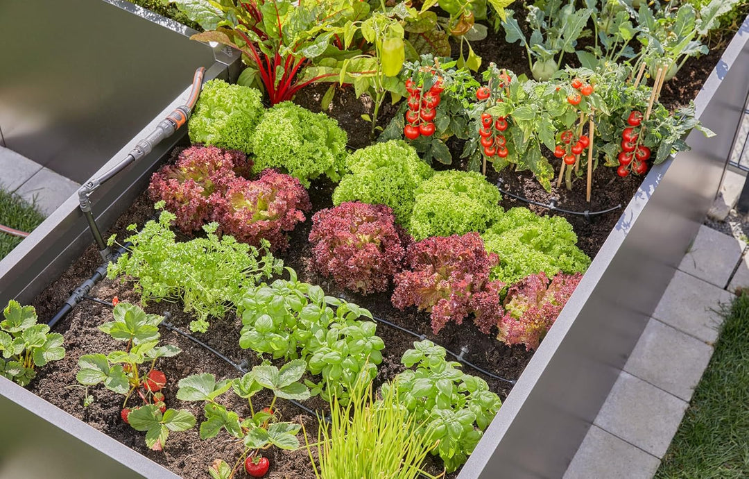 Gardena Micro-Drip-System Tropfbewässerung Set Hochbeet/Beet (35 Pflanzen): Starter-Set sofort einsa