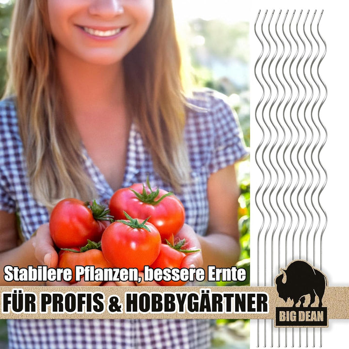 BigDean 40 Tomatenspiralstäbe 110cm voll verzinkt Tomatenstab Tomaten Ranke Pflanzstab Stahl Profi Q