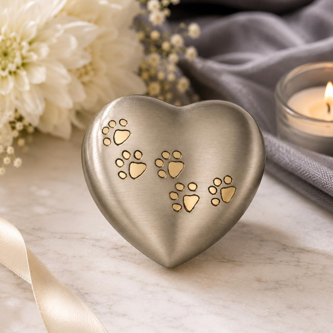 Urn for Ashes Paw Heart Funeral Cremation Memorial Keepsake Pet Dog Cat |Without Stand (Pewter 5") R