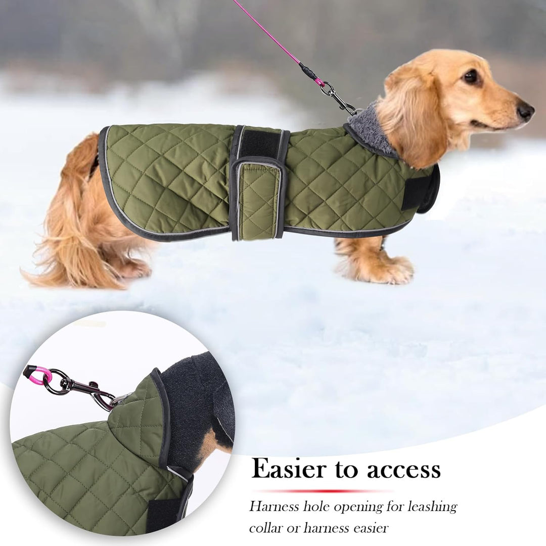Geyecete - Warmer wintermantel für dackel Hunde,Hunde Winterjacken mit plüschfutter,Outdoor jacken m