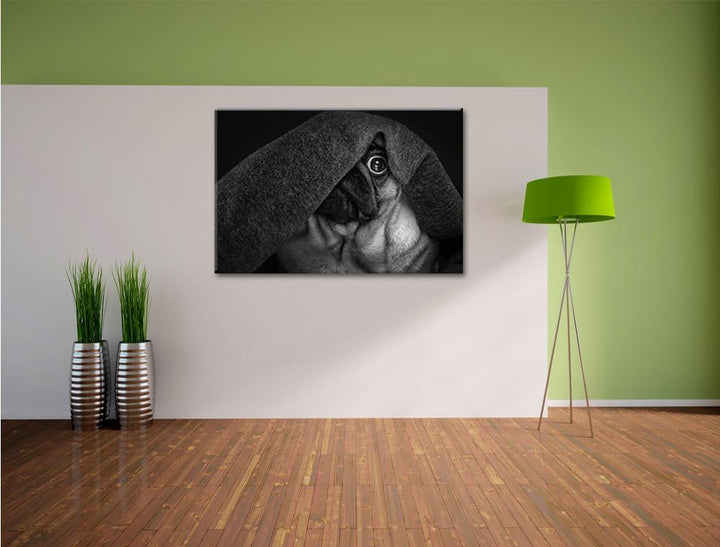 Pixxprint Mops Decke / 100x70cm Leinwandbild bespannt auf Holzrahmen/Wandbild Kunstdruck Dekoration,