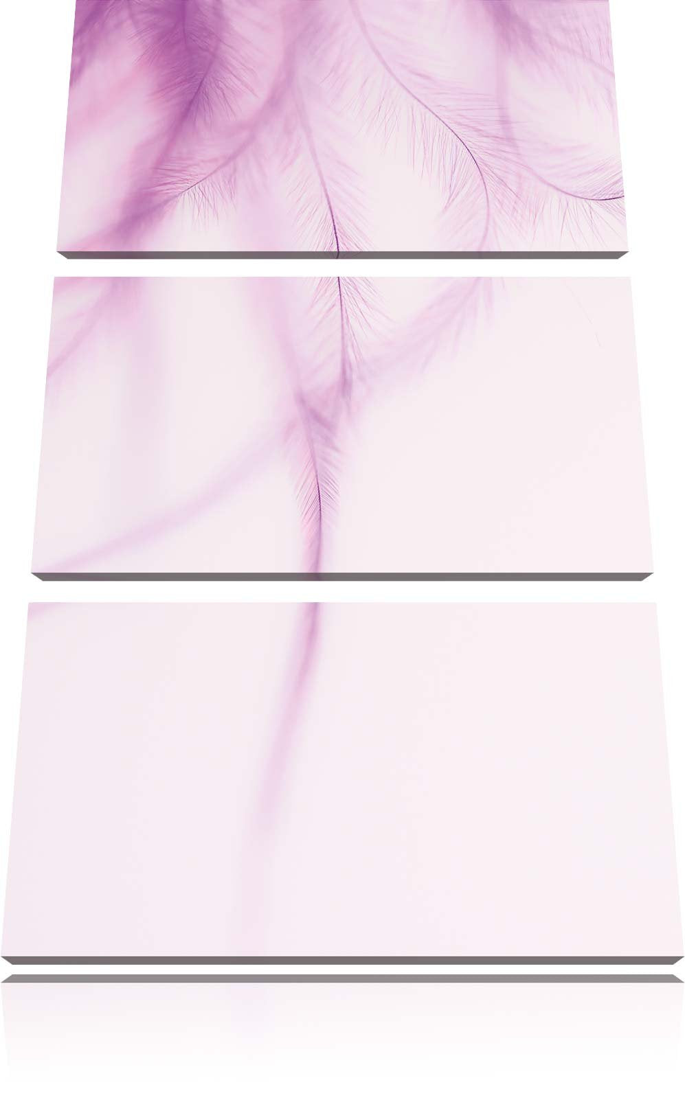 Pixxprint zarte Pinke Federn 3-Teiler Leinwandbild 120x80 Bild auf Leinwand