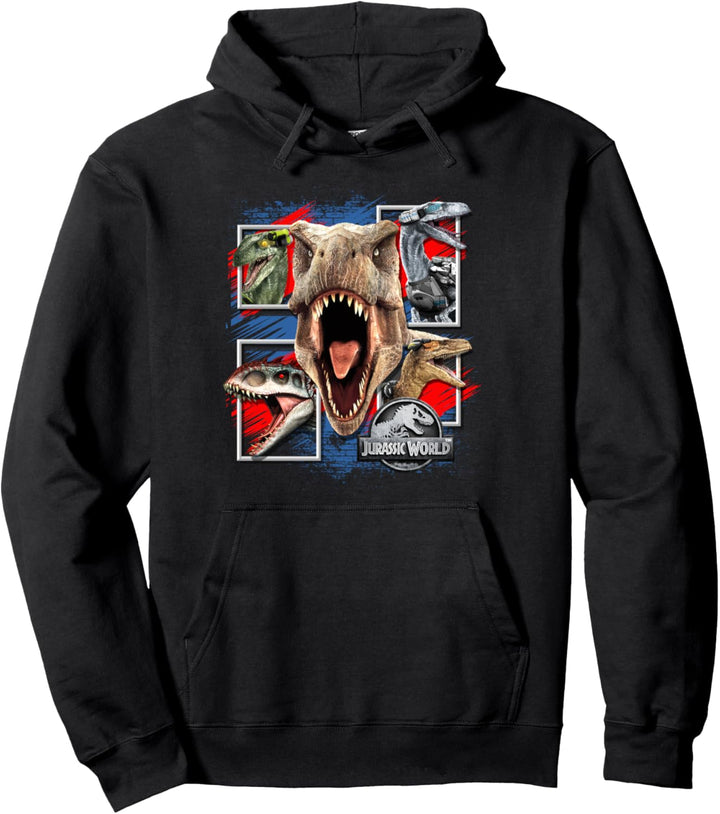 Jurassic World Dinosaurier-Box Pullover Hoodie