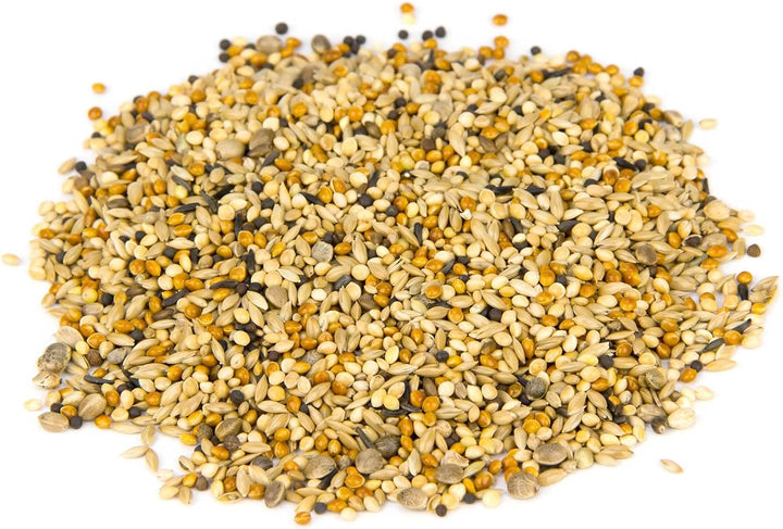 Leimüller Taubenfutter Sämereien Mix 25 kg - Artgerechtes Futter ohne GVO und Staub