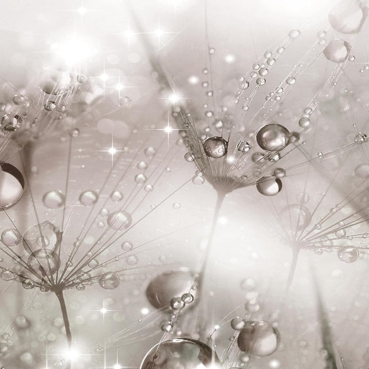 Runa Art Bild Pusteblume Wandbilder auf Vlies Leinwand 5 Teilig Wanddekoration Wohnzimmer Schlafzimm