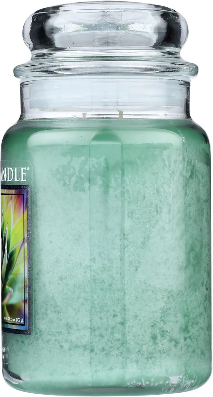 Village Candle - Awaken Spa -Tradition Jar - 2-Dochtkerze - Eukalypthus/Pfefferminze - 602g - Large