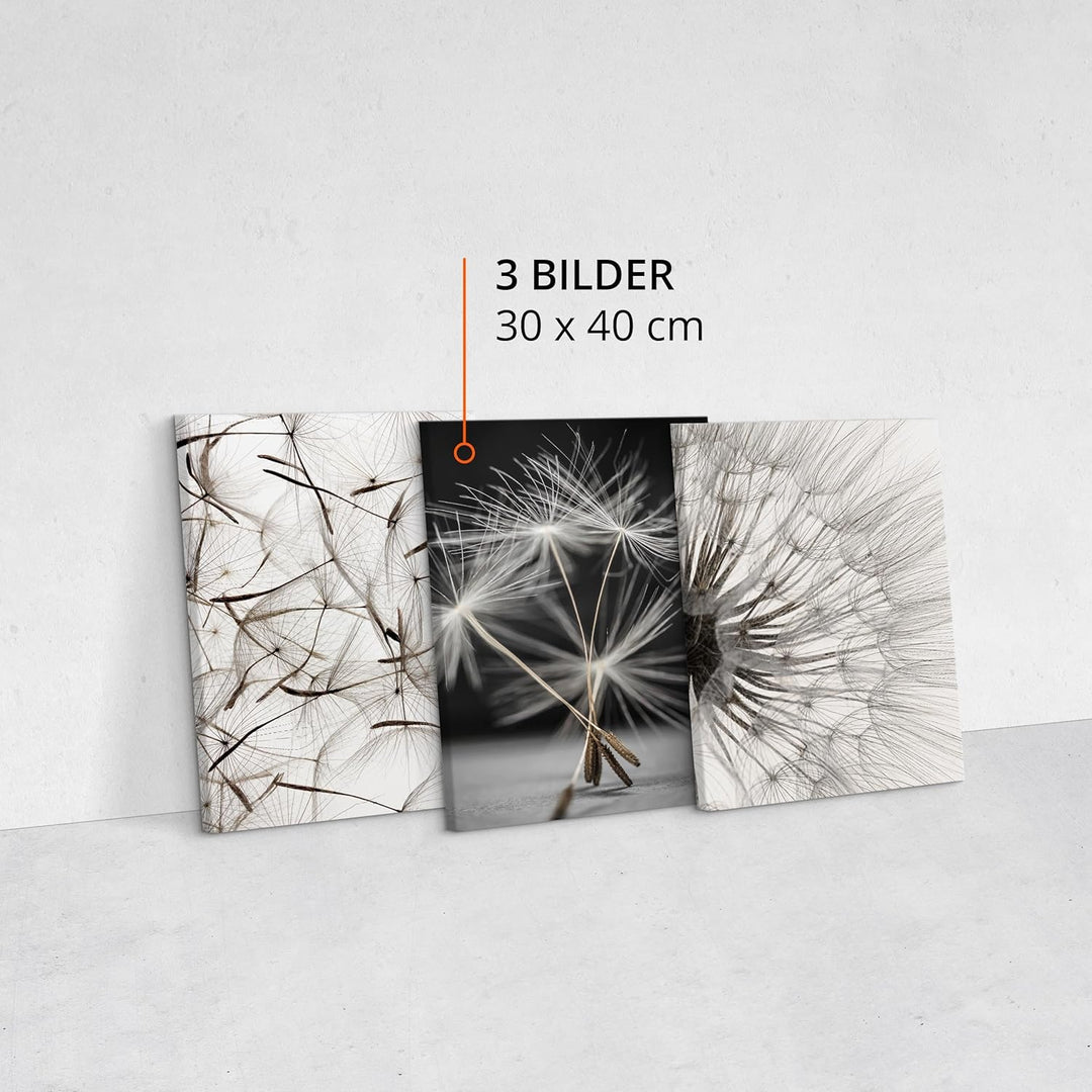 Muralo - Wandbilder Set - Leinwand Bilder Set Aufhängefertig - Bilder für Wohnzimmer Schlafzimmer -