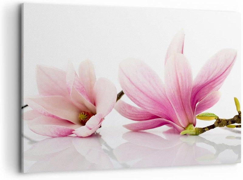 Bilder auf Leinwand 100x70cm Leinwandbild Magnolie blume natur pflanze Gross Wanddeko Bild Schlafzim