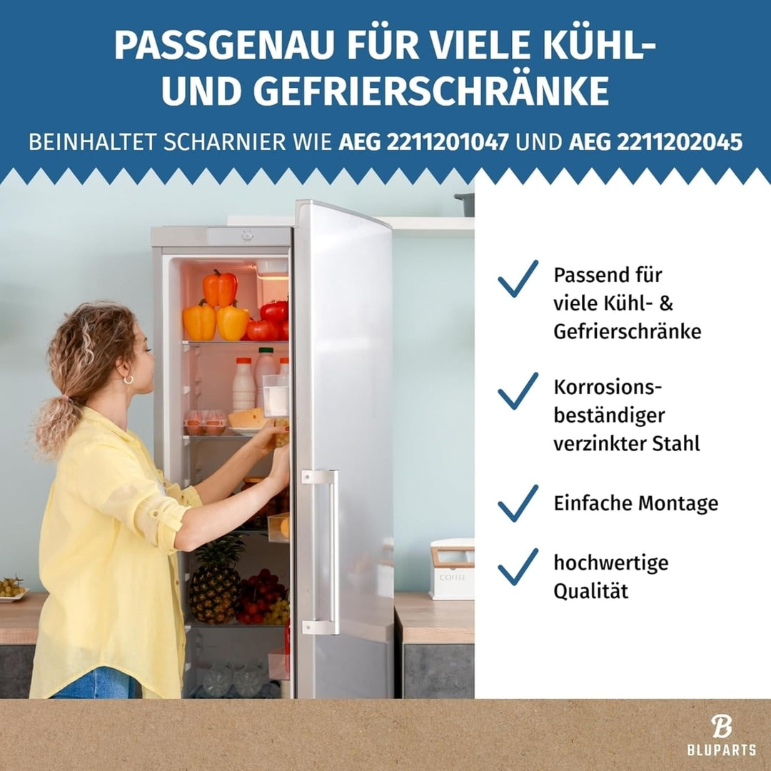 LUTH Premium Profi Parts Türscharnier Set Oben unten kompatibel mit AEG 4055504197 2211202045 in Küh