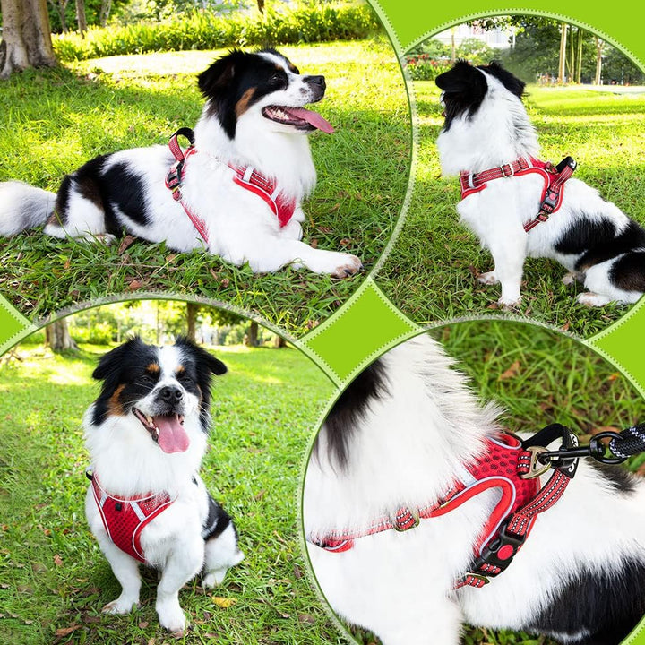 Eyein No-Pull Hundegeschirr, Air-Mesh Atmungsaktiv Brustgeschirr für kleine, mittelgrosse und grosse
