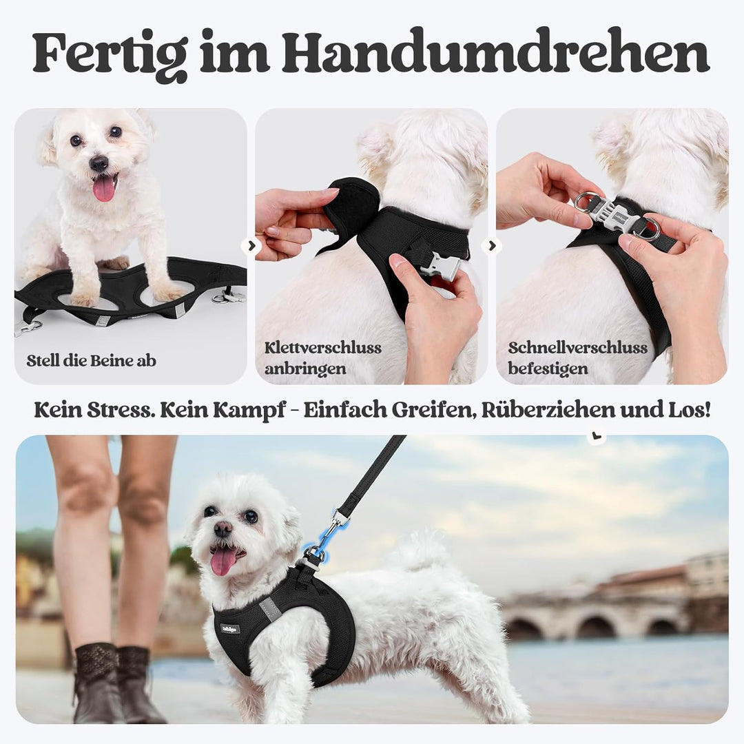 rabbitgoo Hundegeschirr Kleine Hunde mit Leine, Step-in Welpengeschirr Weich Mesh für Spaziergänge,