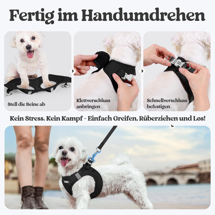 rabbitgoo Hundegeschirr Kleine Hunde mit Leine, Step-in Welpengeschirr Weich Mesh für Spaziergänge,