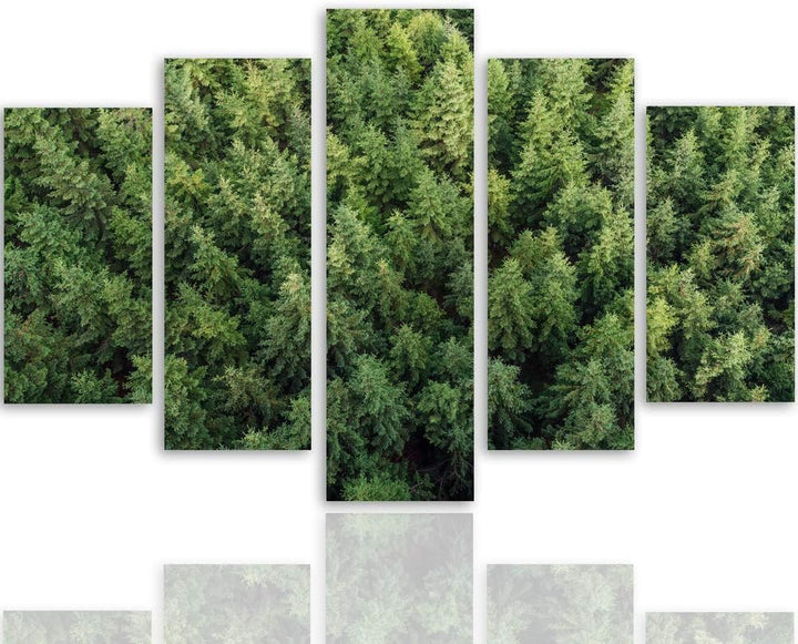 Feeby Leinwandbild 5 Teilig Landschaft Bild Wanddeko Wald Bäume Fichten grün 200x100 cm Leinwandbild