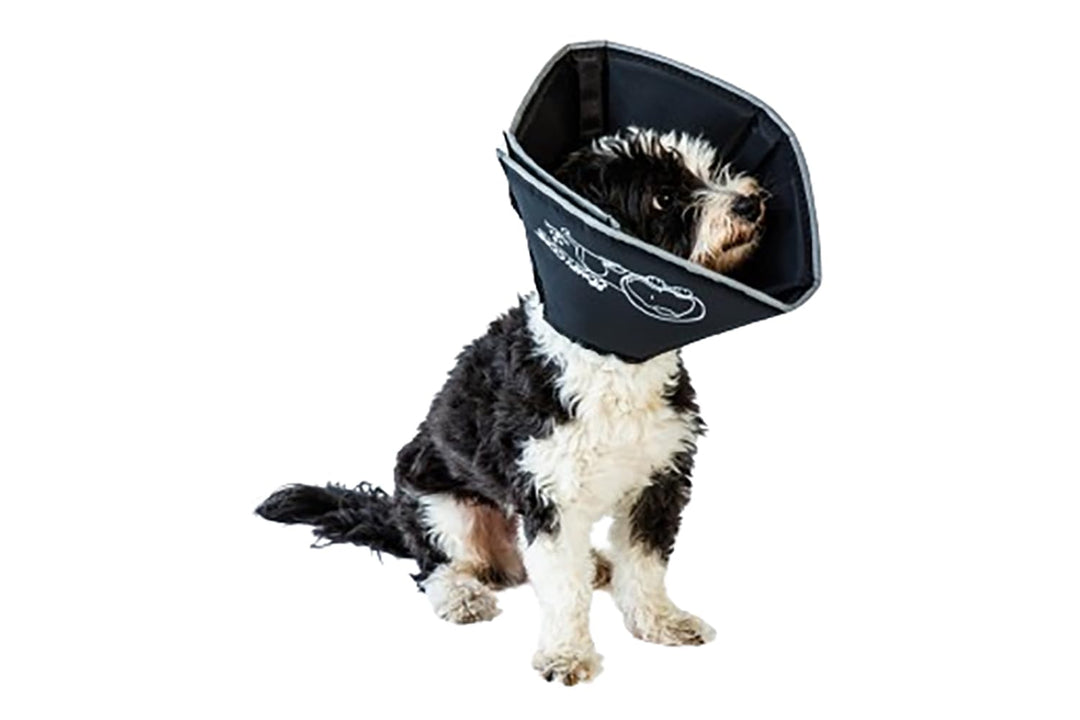 All Four Paws „The Comfy Cone“ Halskrause für Haustiere, Large