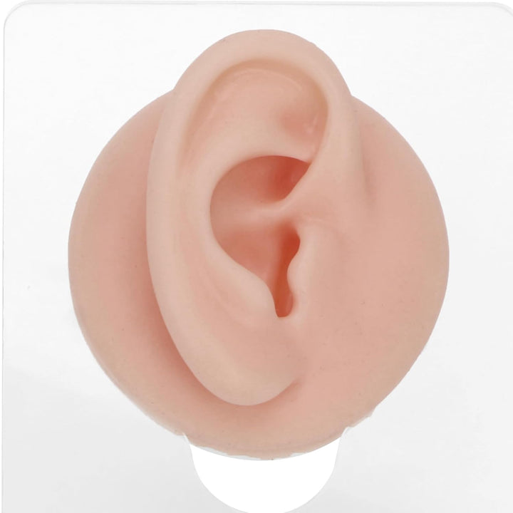Silikon-Piercing-Körpermodell, Piercing-Körperteil-Modell mit Präsentationsständer, Weiches Silikon-
