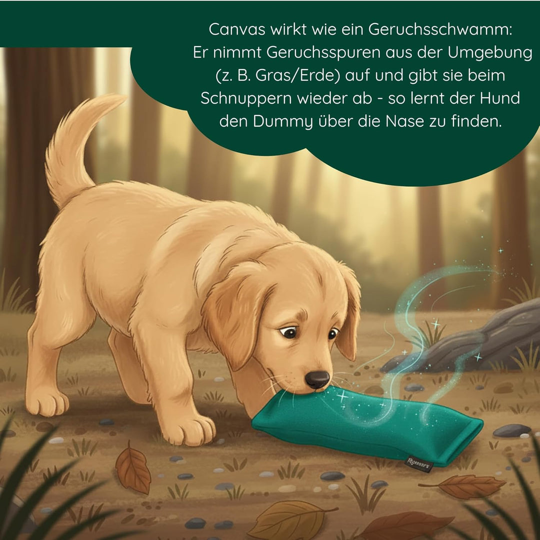Romneys Welpen-Dummy, ca. 200g (Grün + Blau), Grün + Blau