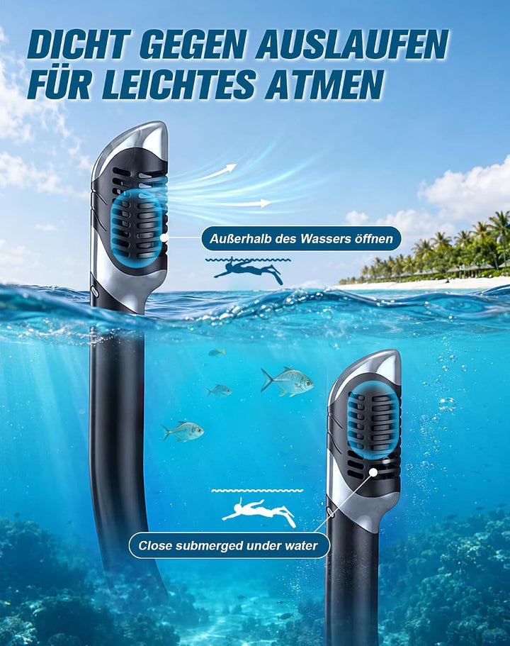 Lealinga Schnorchelset Erwachsene, 2er-Set, Schnorcheln Set mit Panorama Schnorchelmaske und Dry Sch