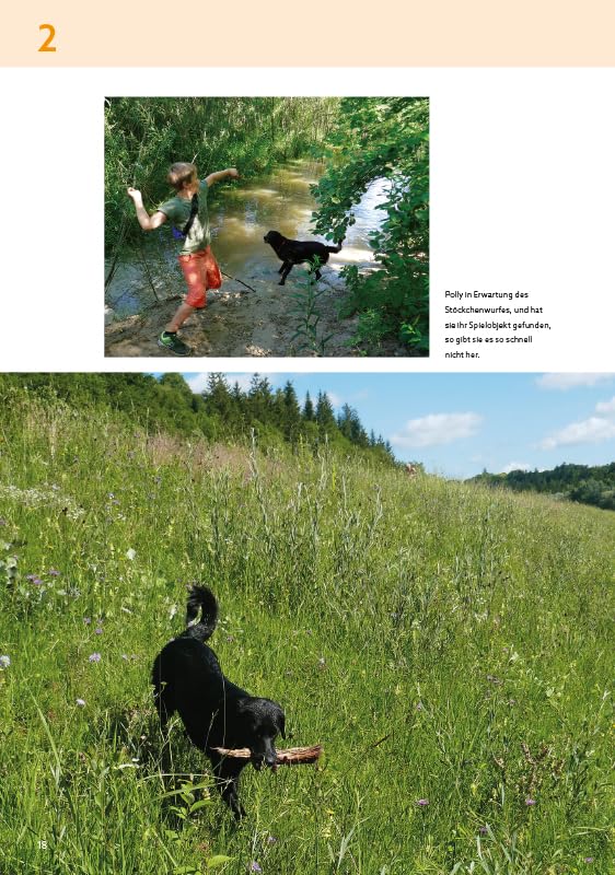 Die schönsten Wanderungen mit Hunden im Grossraum München: Wege am Wasser / Routen für das ganze Jah