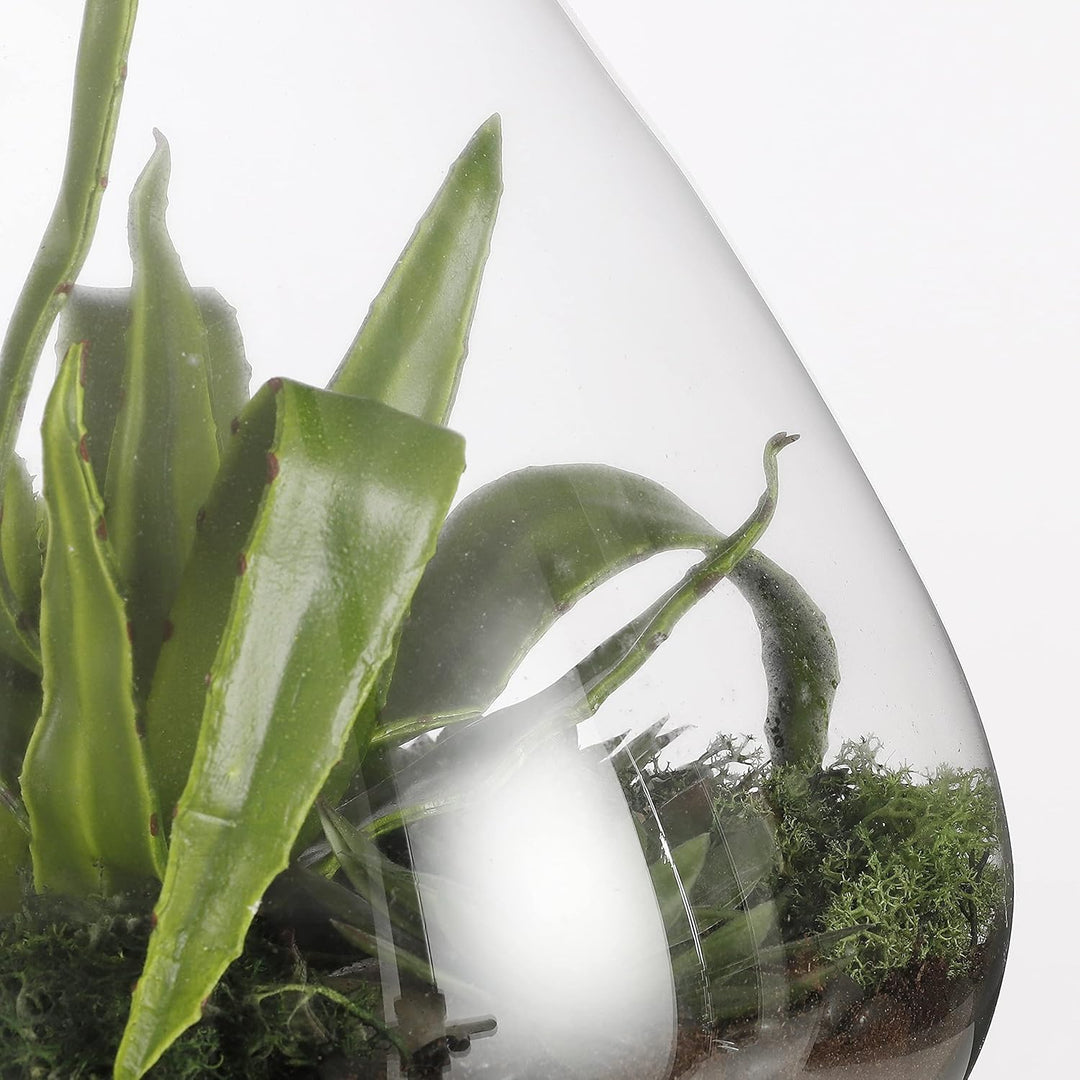 MICA Decorations Decorations Glas Terrarium Glasdose mit Korkverschluss Emily recyceltes Glas transp
