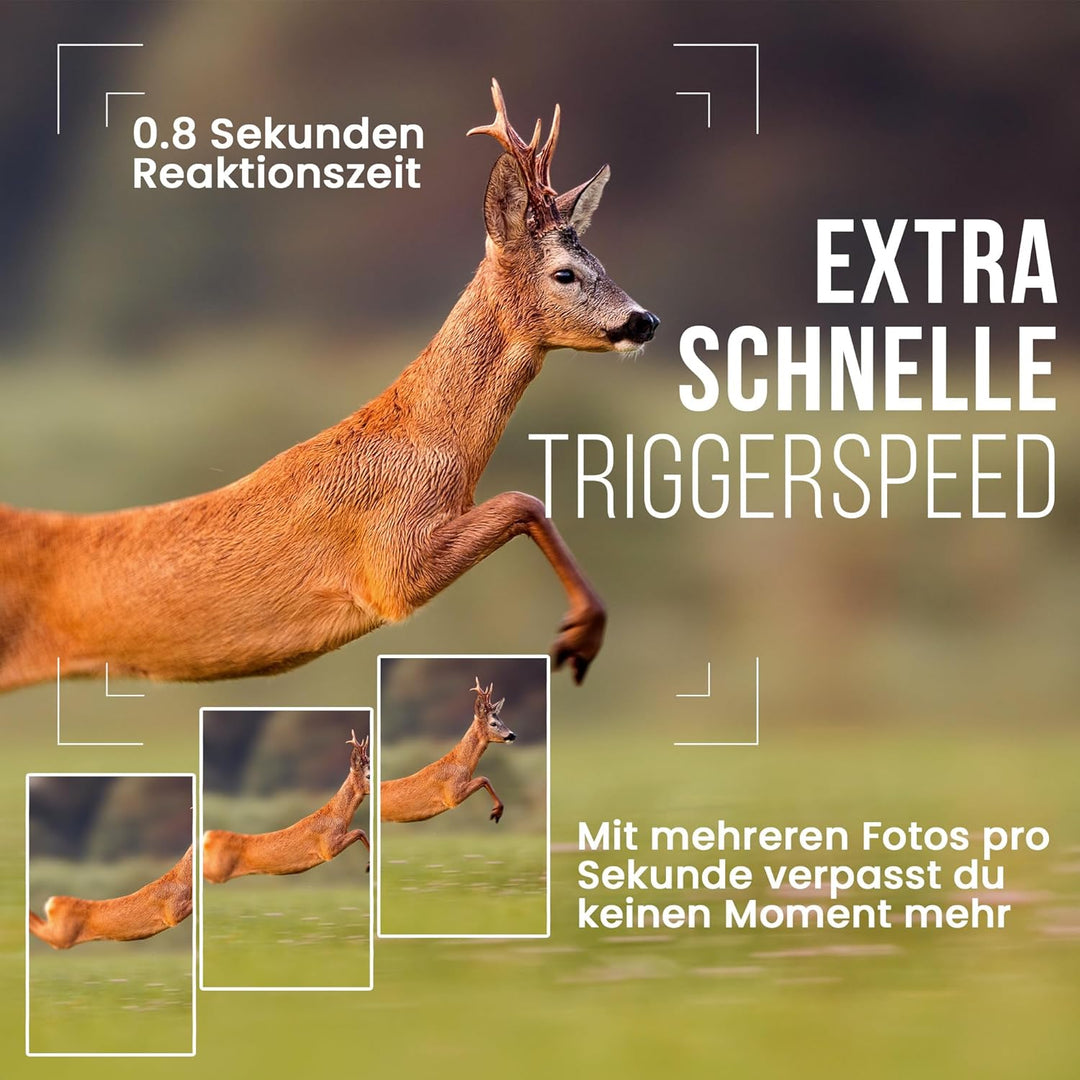 Strex Wildkamera mit Nachtsicht – 16MP 1080P Full HD – Wasserfest – Jagdkamera – Wildtierkamera