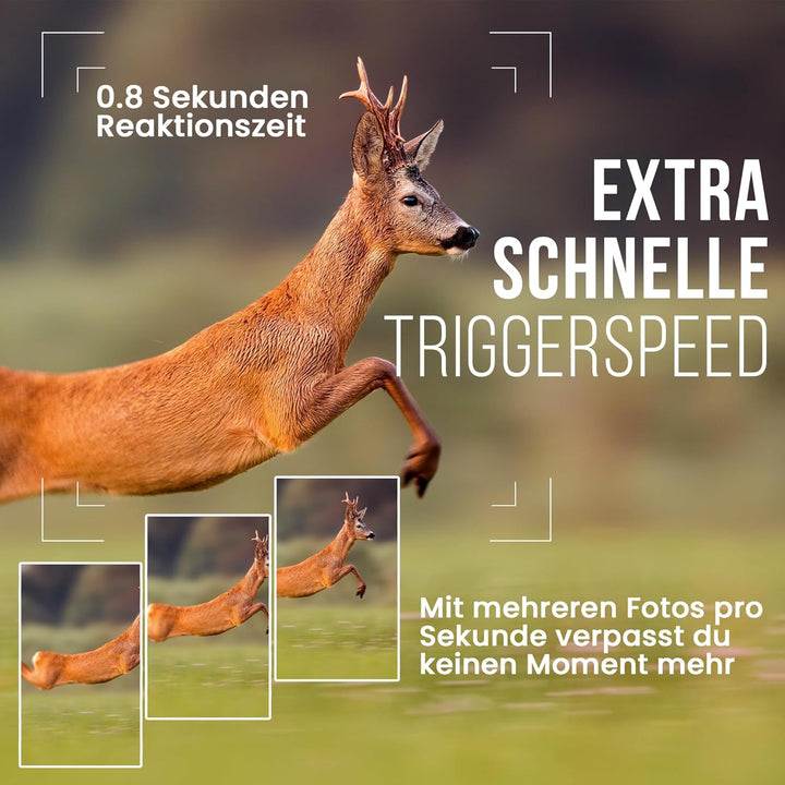 Strex Wildkamera mit Nachtsicht – 16MP 1080P Full HD – Wasserfest – Jagdkamera – Wildtierkamera
