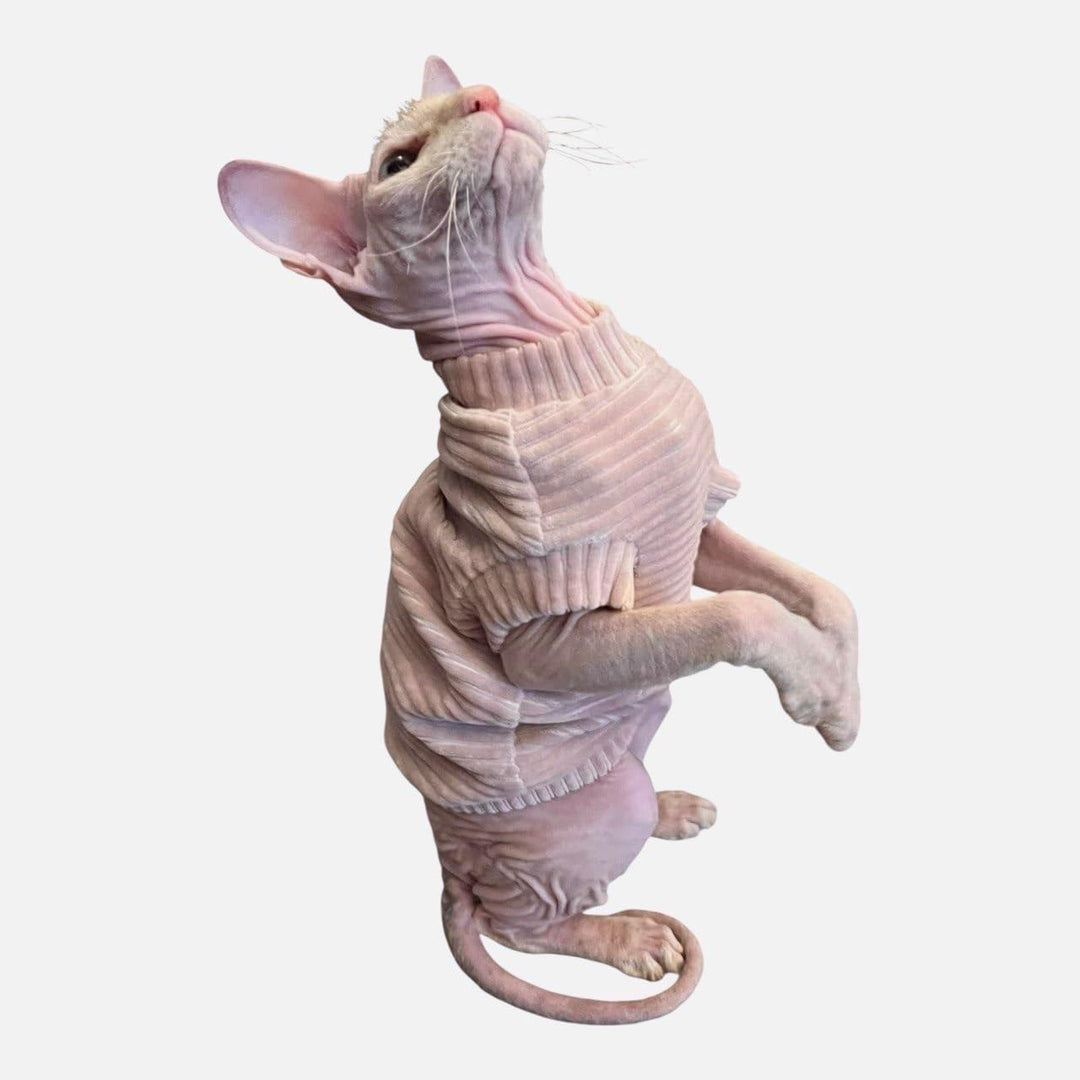 Kotomoda Katzen-T-Shirt aus Cord fьr Sphynx und nackte Katzen (groя, hautfarben) L nude, L nude