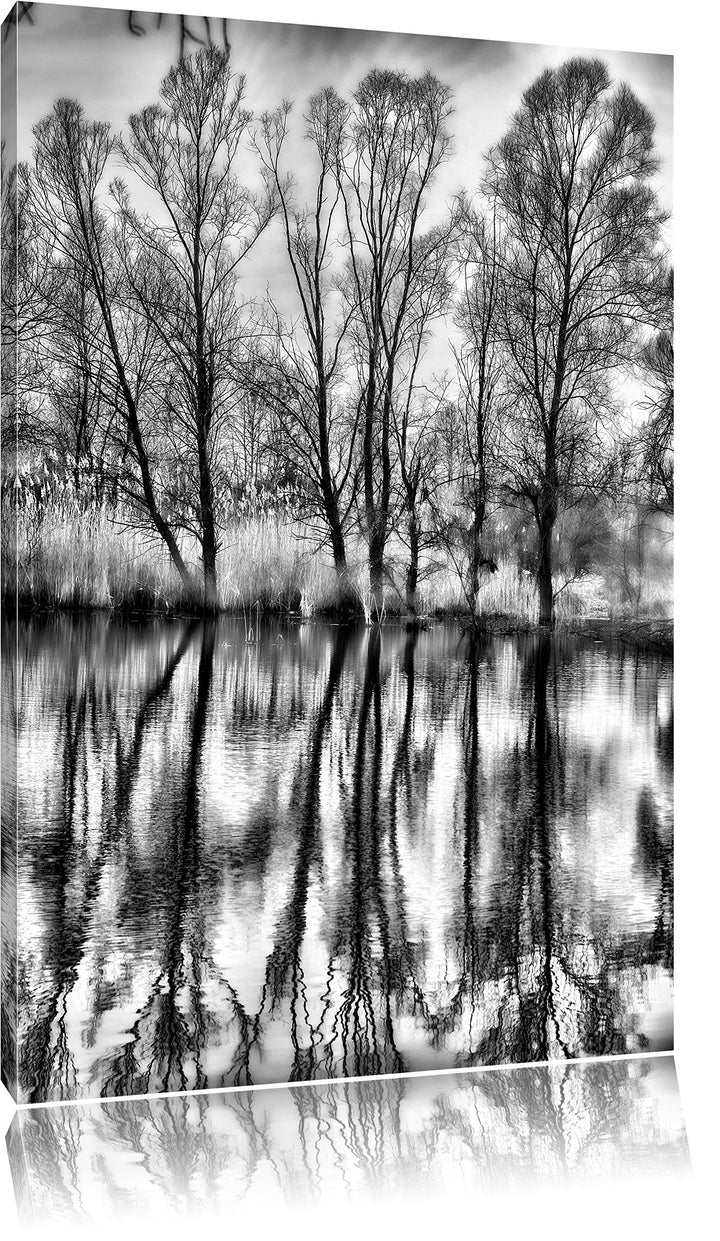 Pixxprint Monocrome, Bäume spiegeln Sich im Wasser, Format: 100x70 auf Leinwand, 100x70