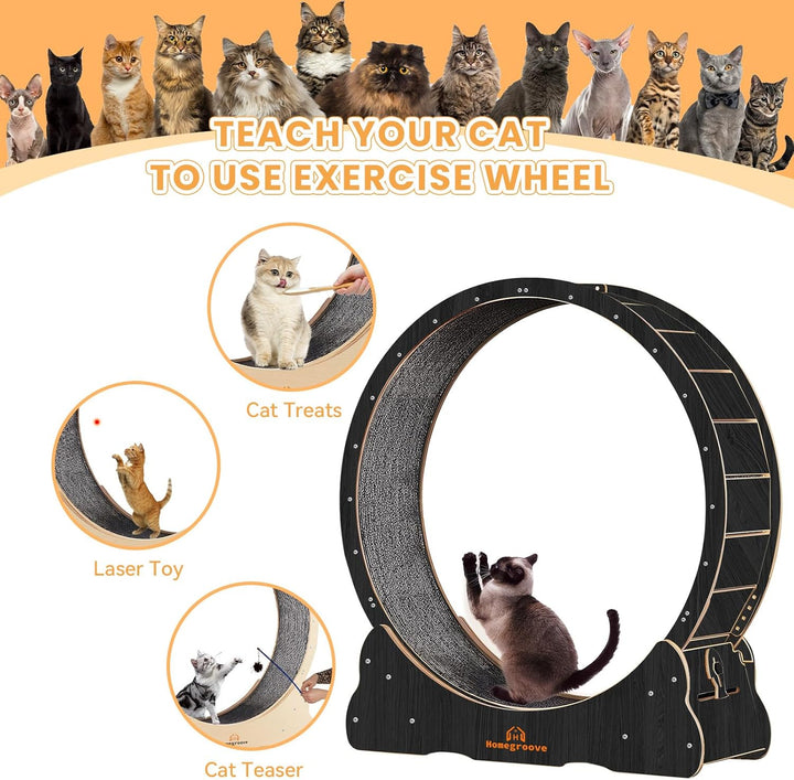 Homegroove XXL Katzenlaufrad, 52"/132 cm grosses Katzenrad, Massivholz-Laufband für Katzen mit integ