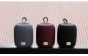 Canyon Bluetooth Speaker BSP-8 grau