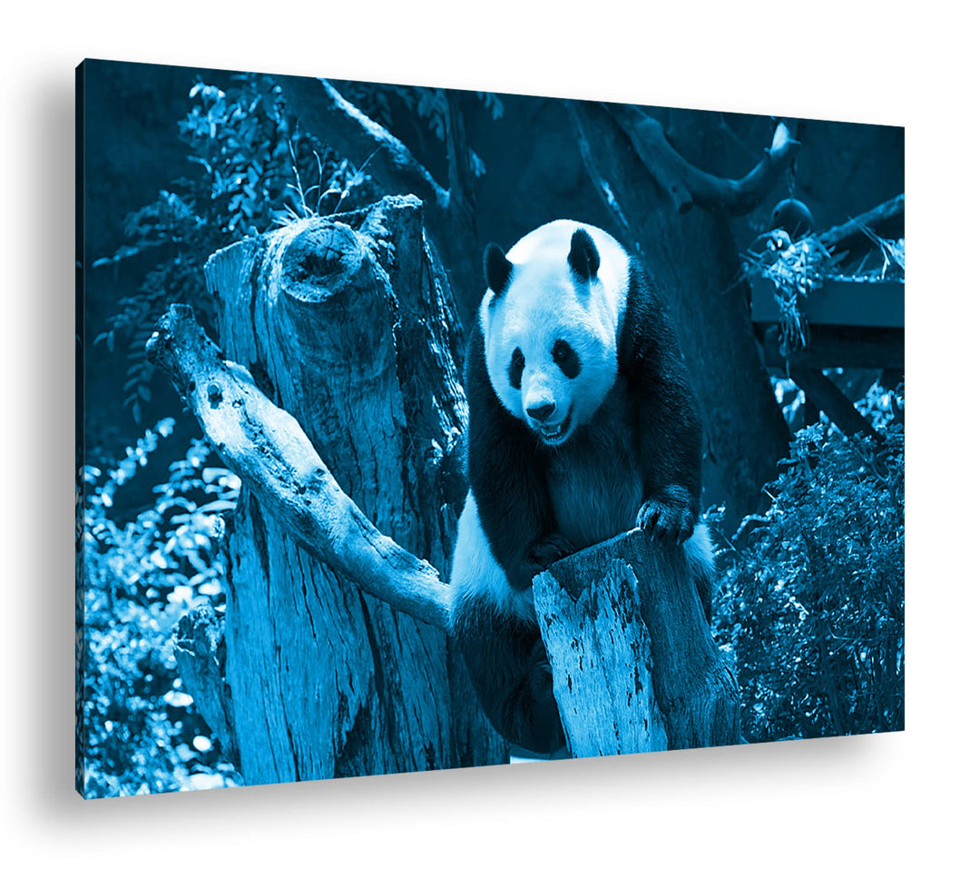 deyoli knuffiger Panda Format 80x60 Effekt: Monocrome Blau als Leinwandbild, Motiv fertig gerahmt au