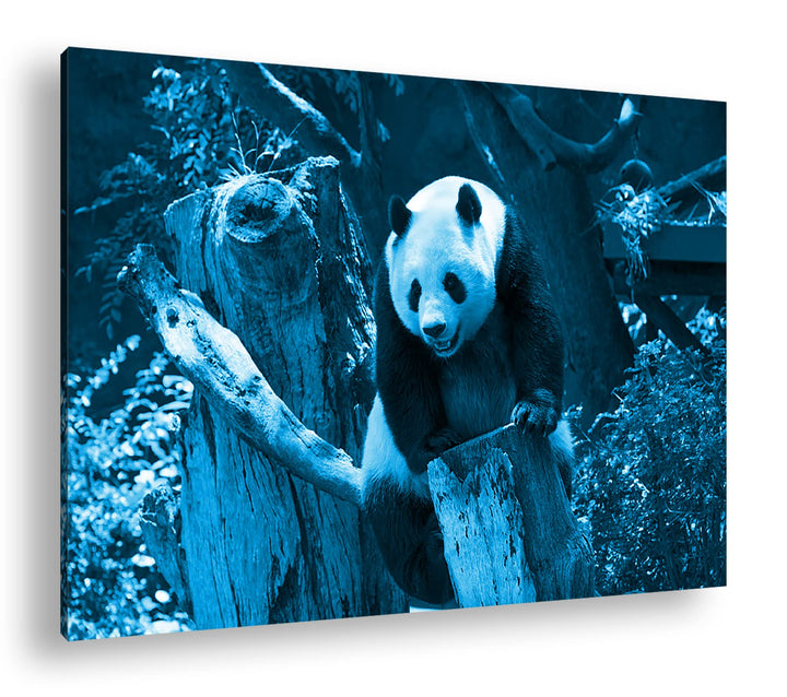 deyoli knuffiger Panda Format 120x80 Effekt: Monocrome Blau als Leinwandbild, Motiv fertig gerahmt a