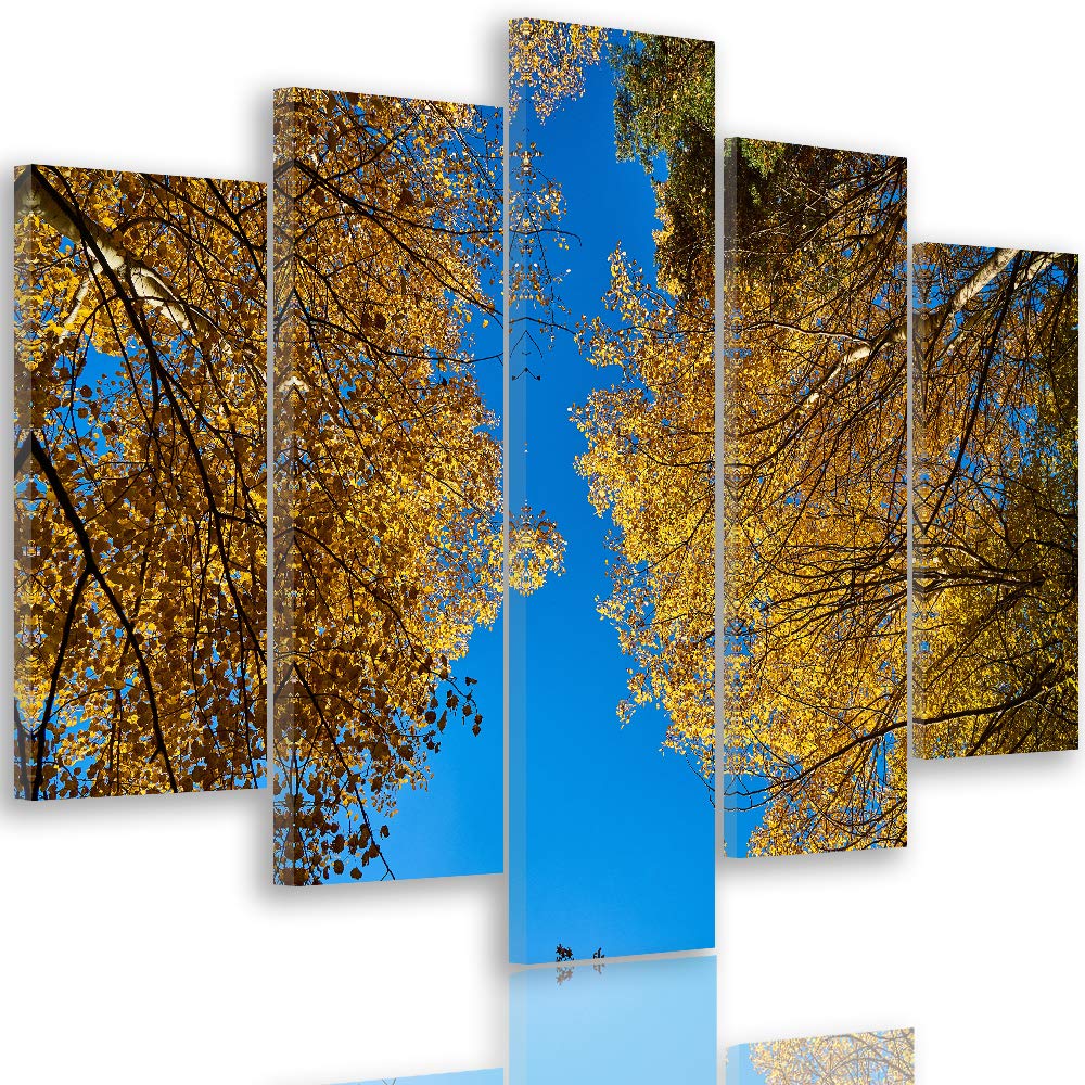 Feeby Leinwandbild 5 Teilig Bäume Bild Wanddeko Blätter Natur Himmel blau gelb 200x100 cm Leinwandbi