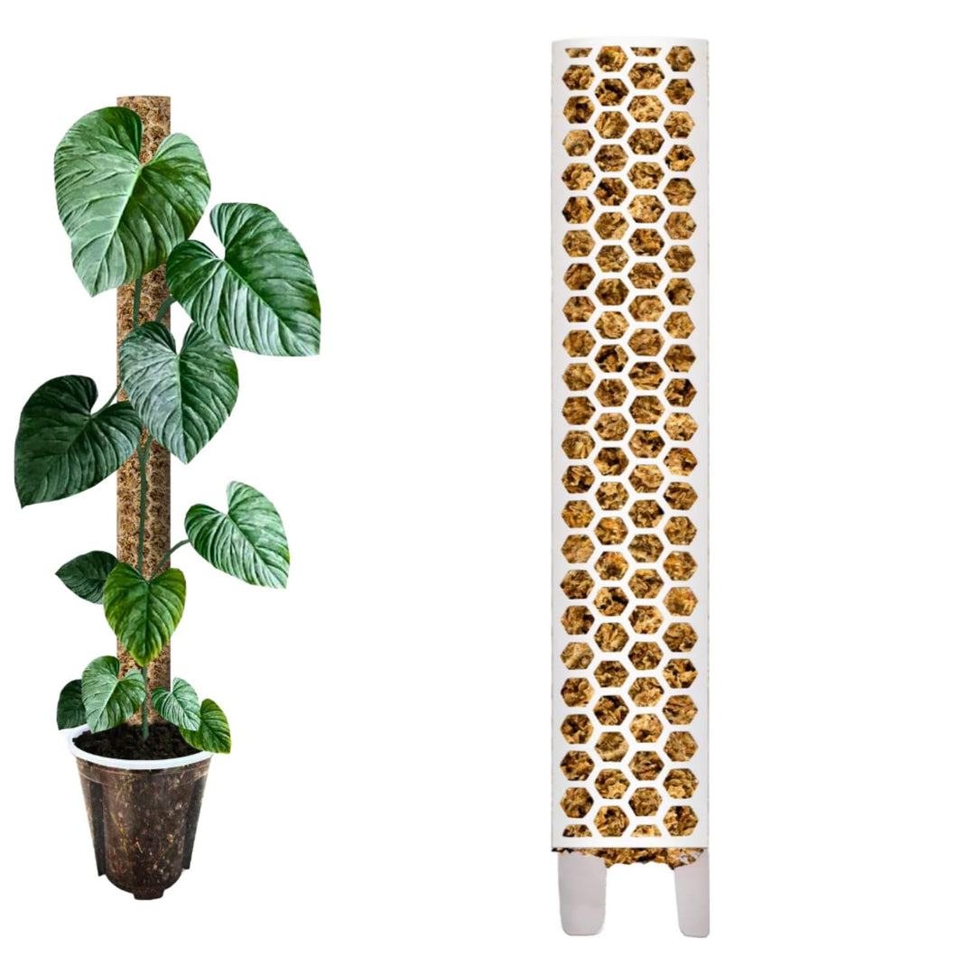 Moosstab [PlantScraper] 40 cm (L) / 10 Stück/Weiss | Pflanzenstab | Moss Pole | Rankstab | Moosstang