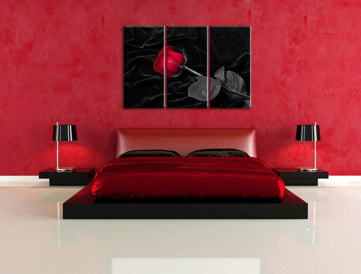 rote Rose gebettet auf schwarzem Samt schwarz/weiss 3-Teiler Leinwandbild 120x80 Bild auf Leinwand,