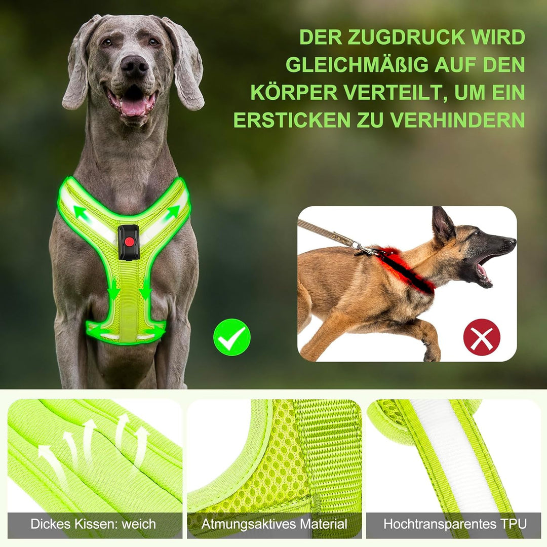 PZRLit Hundegeschirr Leuchtend, Leuchtgeschirr für Hunde Aufladbar, Leuchtendes Hundegeschirr LED, L