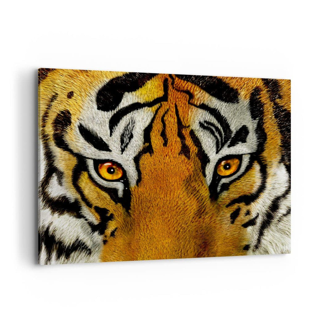 Bilder auf Leinwand 100x70cm Leinwandbild Tiger Tiere Natur Safari Gross Wanddeko Bild Schlafzimmer