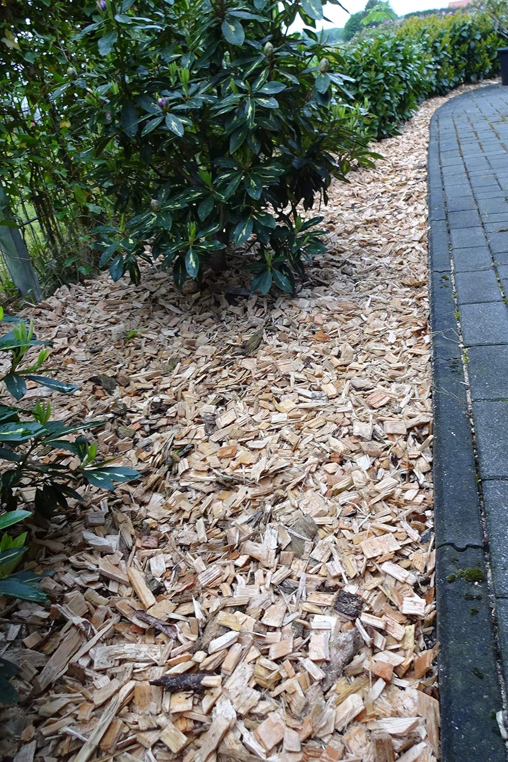500L Holzhackschnitzel grobe Stücke Garten Beete Unkrautschutz in Top Qualität% Einstreu Hackschnitz
