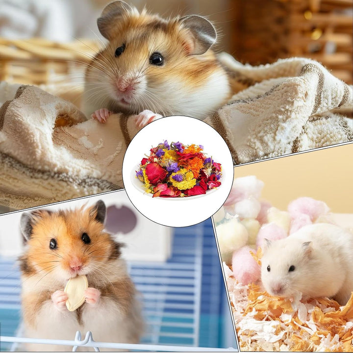 Generisch Hamsterkäfig-Einstreu, Einstreu für Hamster - Natürliche Trockenblumen-Gerbil-Bettwäsche |