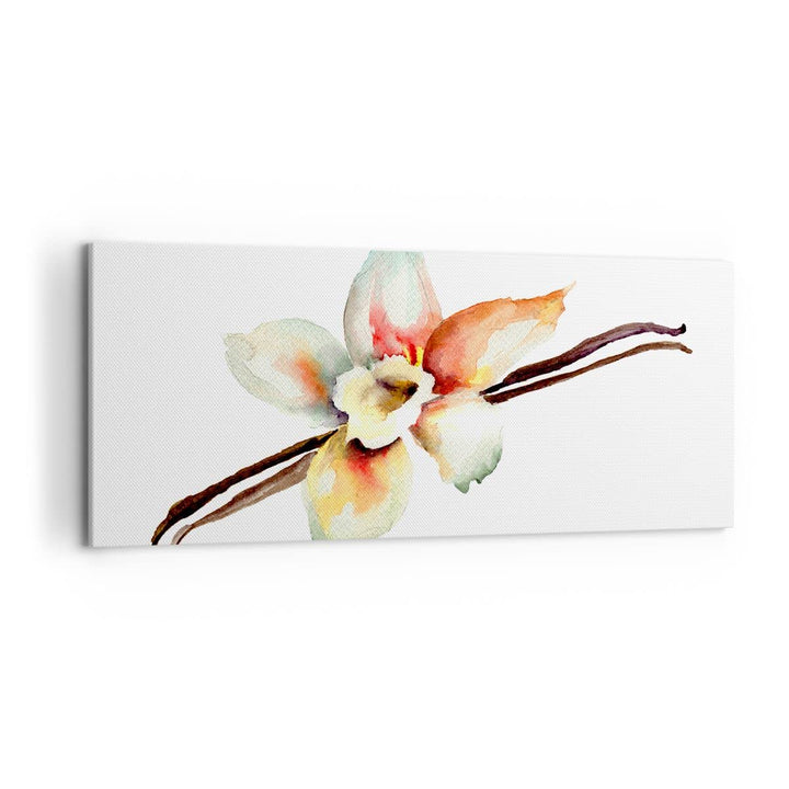 Wandbilder Dekoration Wohnzimmer Vanille Gewürz Blume Pflanze Panorama Bilder auf Leinwand 120x50cm