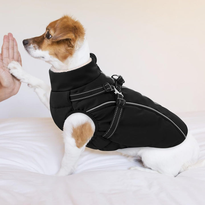 Hundemantel Hundejacke Warm Wintermantel mit Reissverschluss Winddichte & Winddichte mit Reflektorst