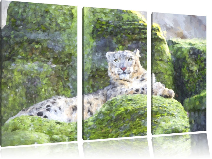 Schneeleopard auf Stein Spezial 3-Teiler Leinwandbild 120x80 Bild auf Leinwand, XXL riesige Bilder f