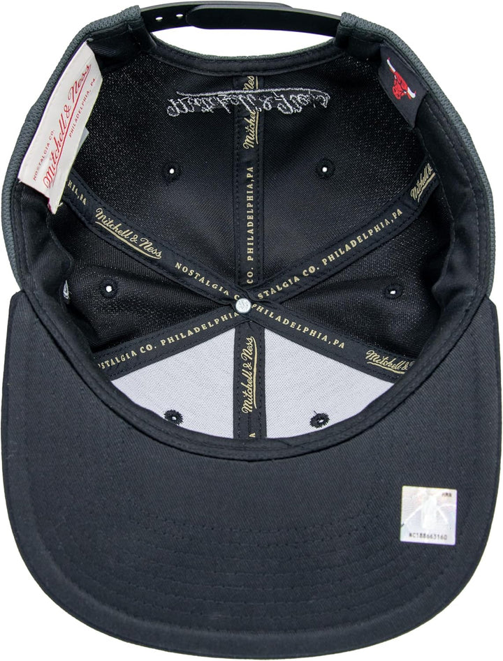 Mitchell & Ness Resist 3D Arch Snapback (NBA/NHL), Chicago Bulls, Grau
