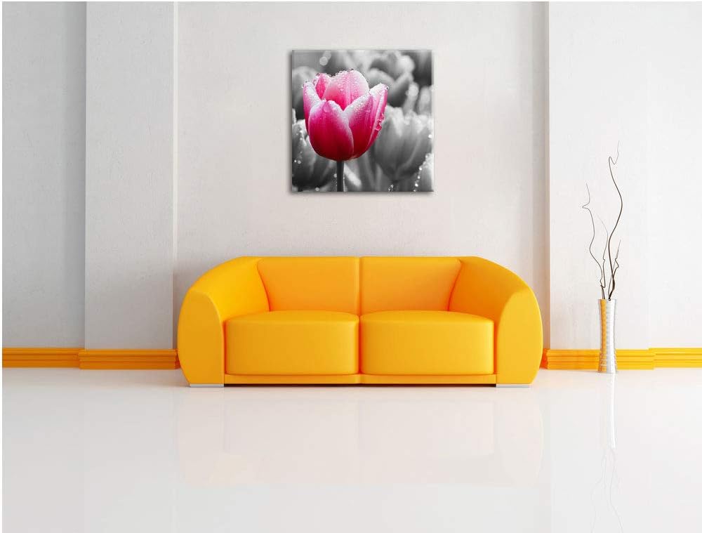 Pixxprint Tulpen im Morgentau als Leinwandbild/Grösse: 70x70 cm/Wandbild/Kunstdruck/fertig bespannt,
