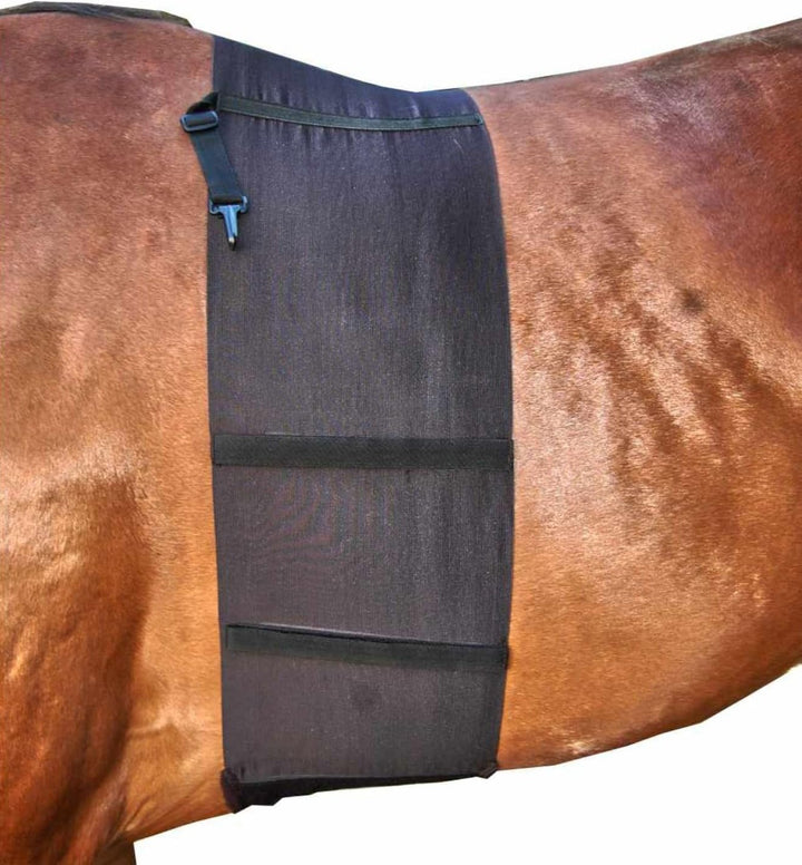 AMKA Sporenschutzgurt für Pferde Sporenschutz Bandage Schutz KLEIN GESCHNITTEN X FULL, X FULL