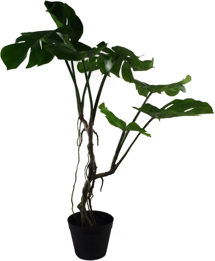 Leaf LEAF-7542 Kunstpflanze mit gedrehtem Stiel, Monstera-Ranke, 60 cm, 59 cm Monstera Vine 59 cm, M