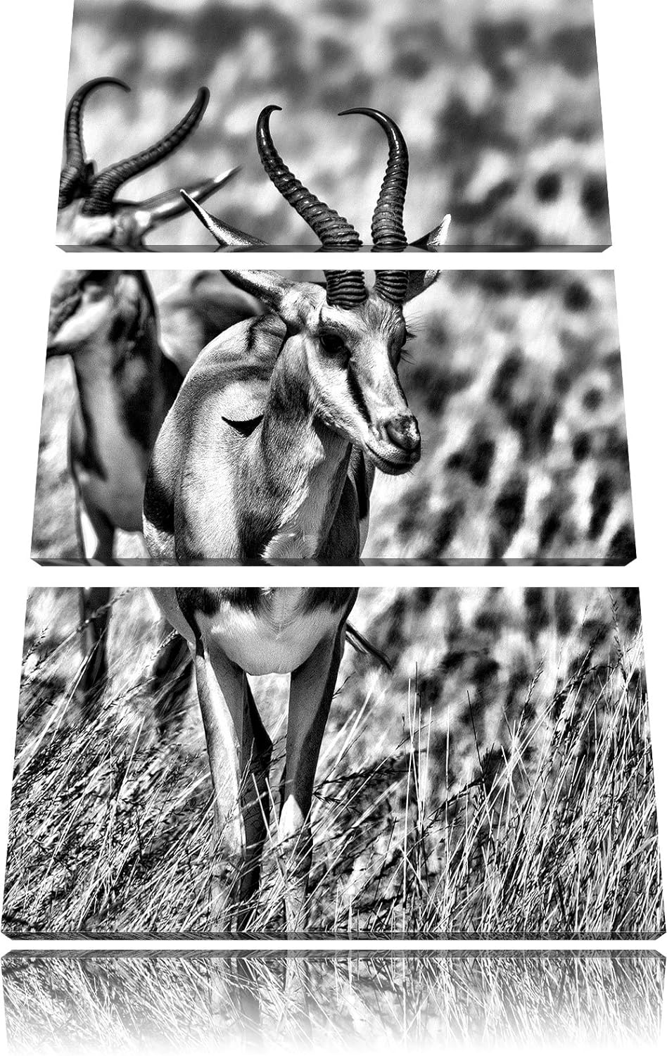Pixxprint Monocrome, Tiere in Savanne, Rehe, Afrika 3-Teiler Leinwandbild 120x80 Bild auf Leinwand