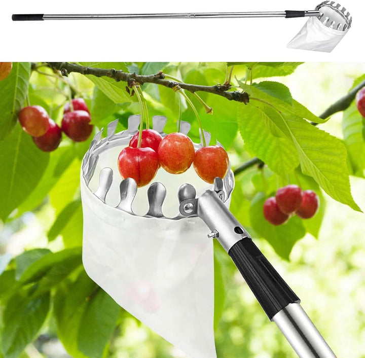 Obstpflücker Stange | Obstpflücker Mit Teleskopstiel - Rostfreier Edelstahl-Pflücker Für Avocados, B